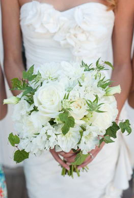 Karen Lenahan Designs