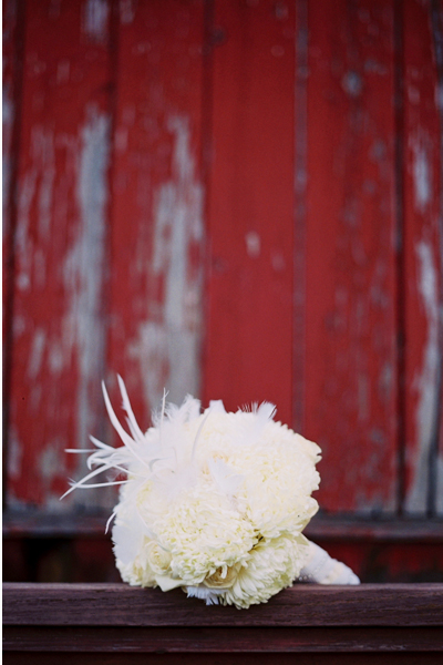 North Fork Engagementg
